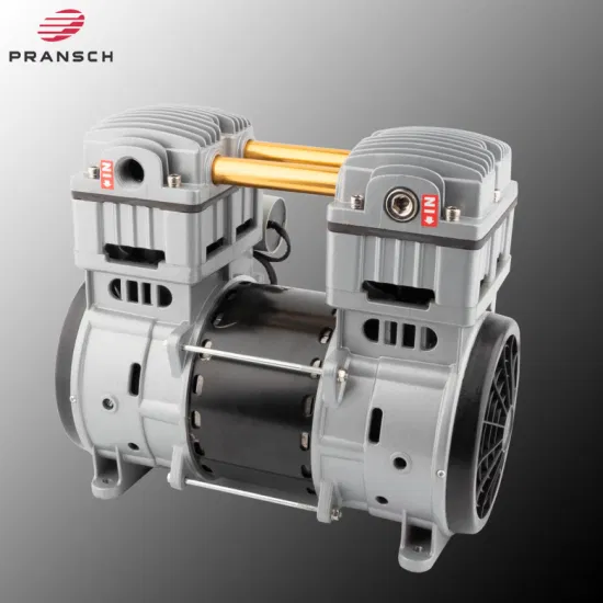 Silent Portable 3/4HP Twin Mini Rocking Food Industry Detailing Milker Braking Laboratory Dental Airbrush Piston Motor Head Air Dry Oilless Oil Free Vacuum Pump